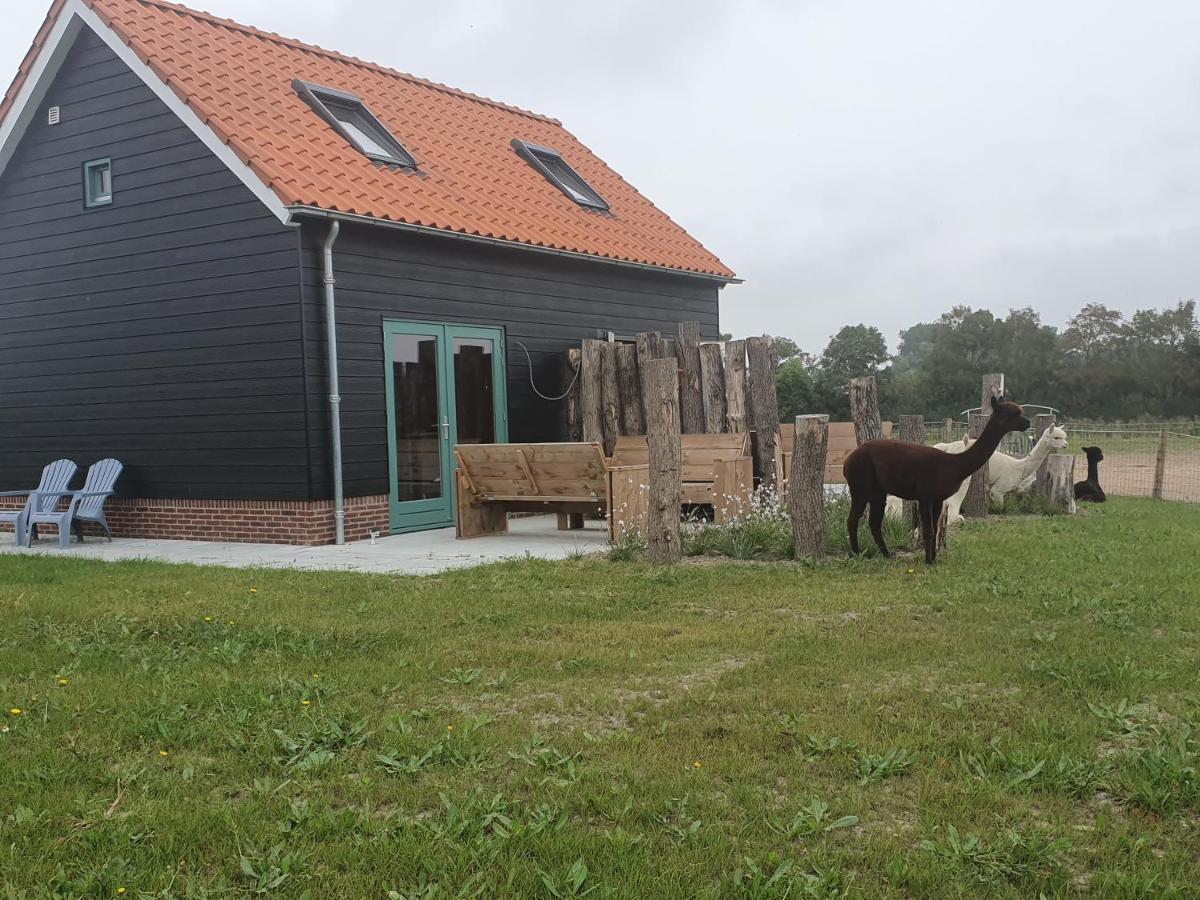 Apartment Aan De Waterspiegel