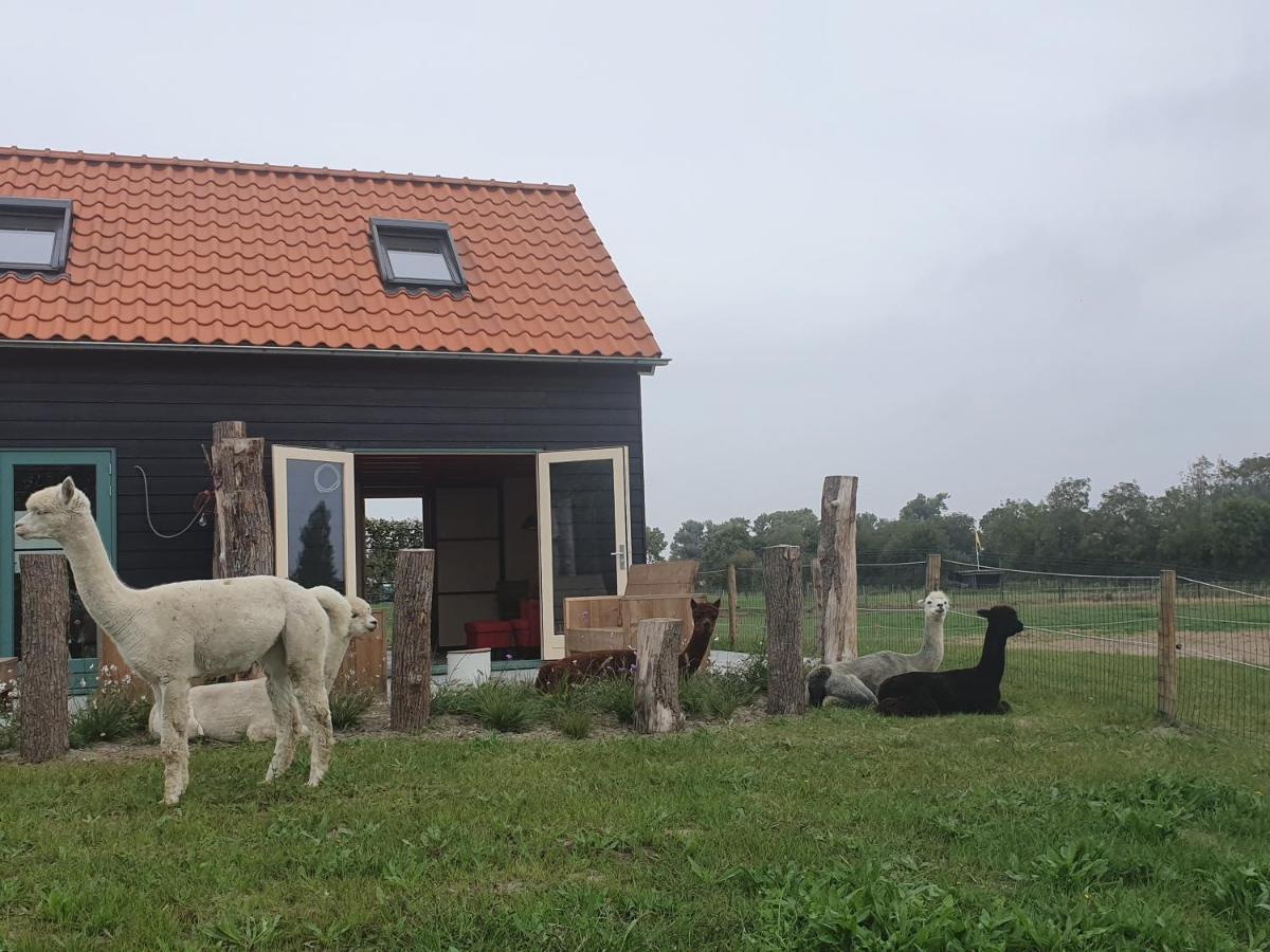 Aan De Waterspiegel