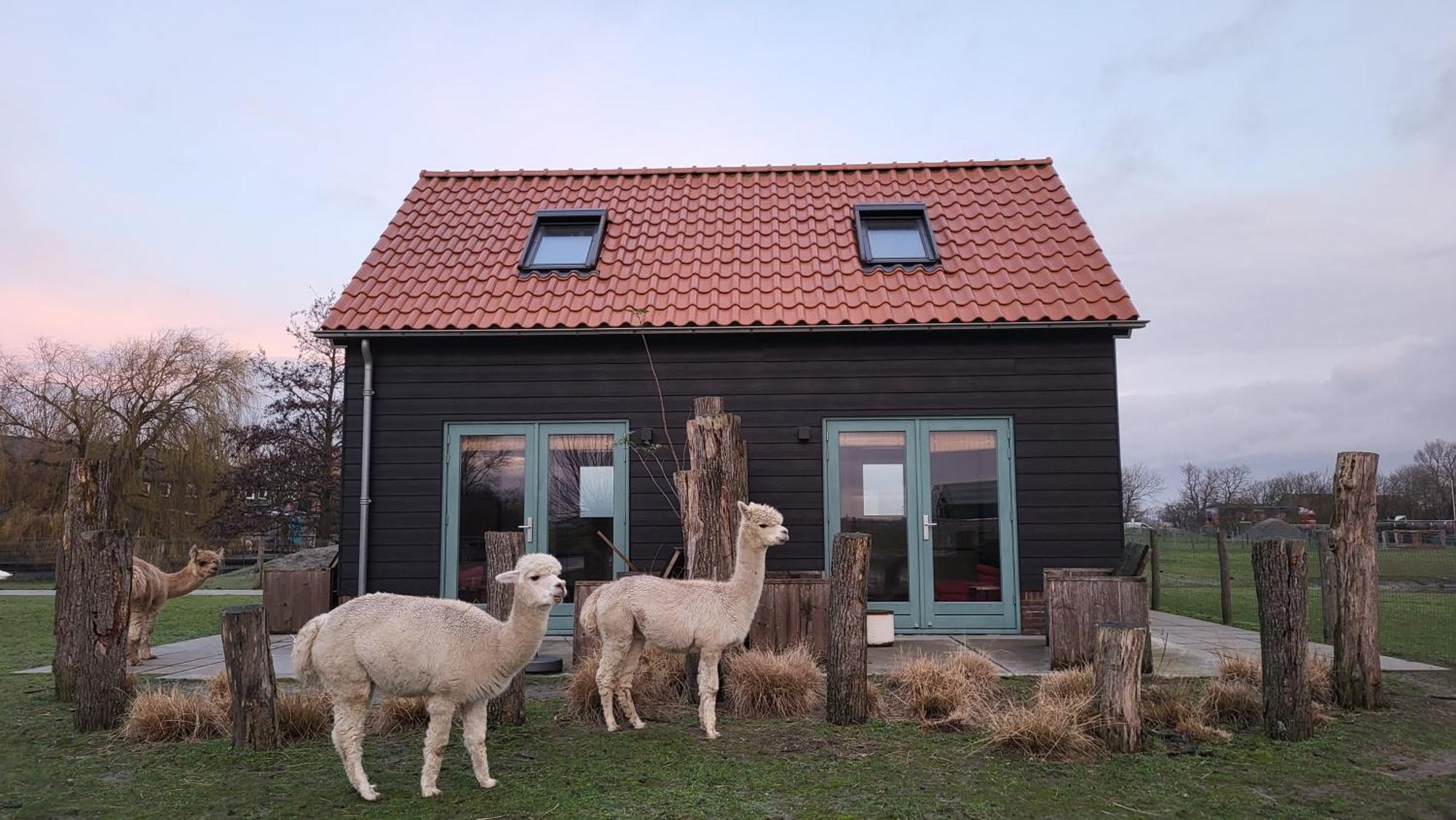 Apartment Aan De Waterspiegel *