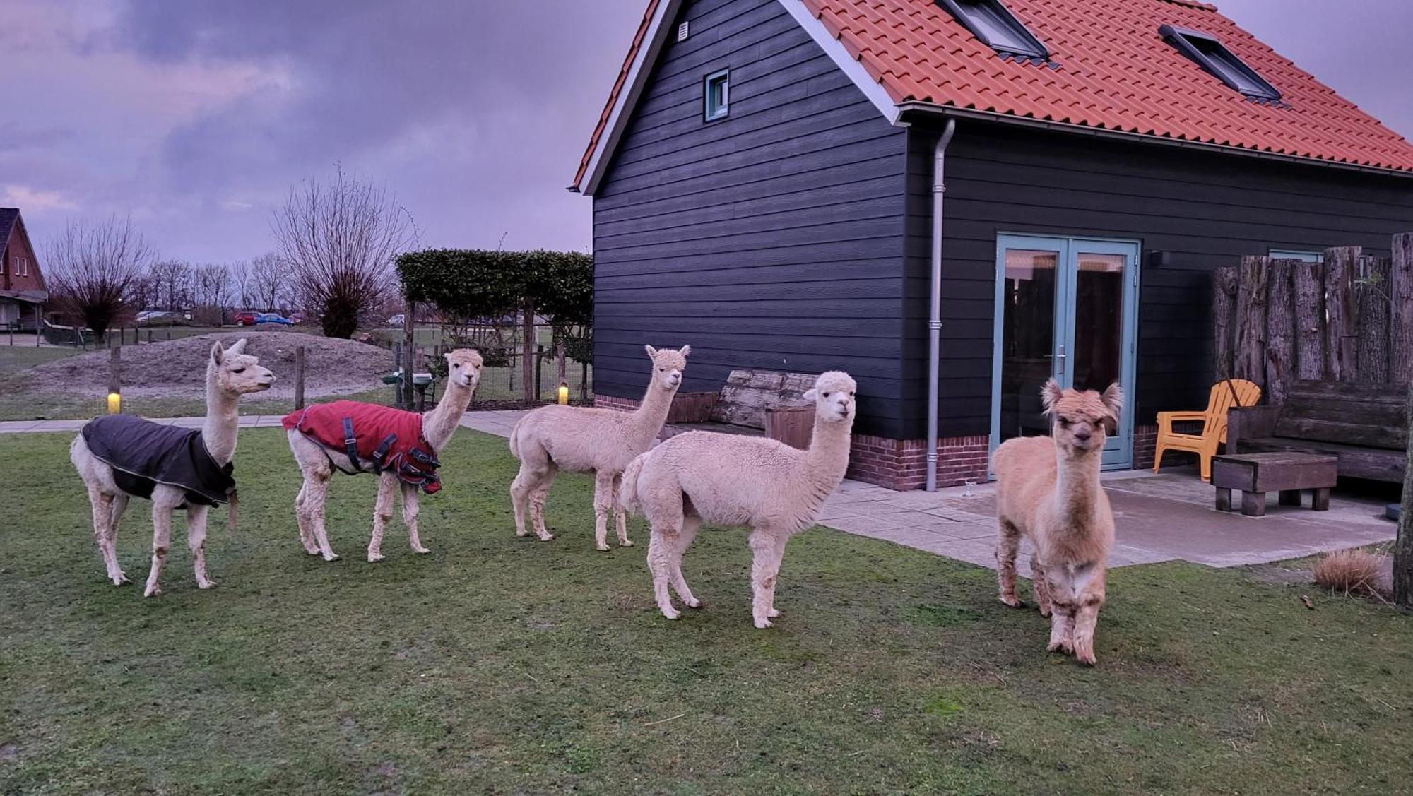 Aan De Waterspiegel